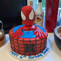 Brooks' Sixth Birthday