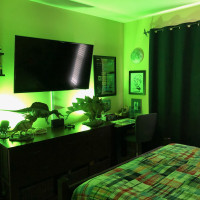 Carter's Room Update