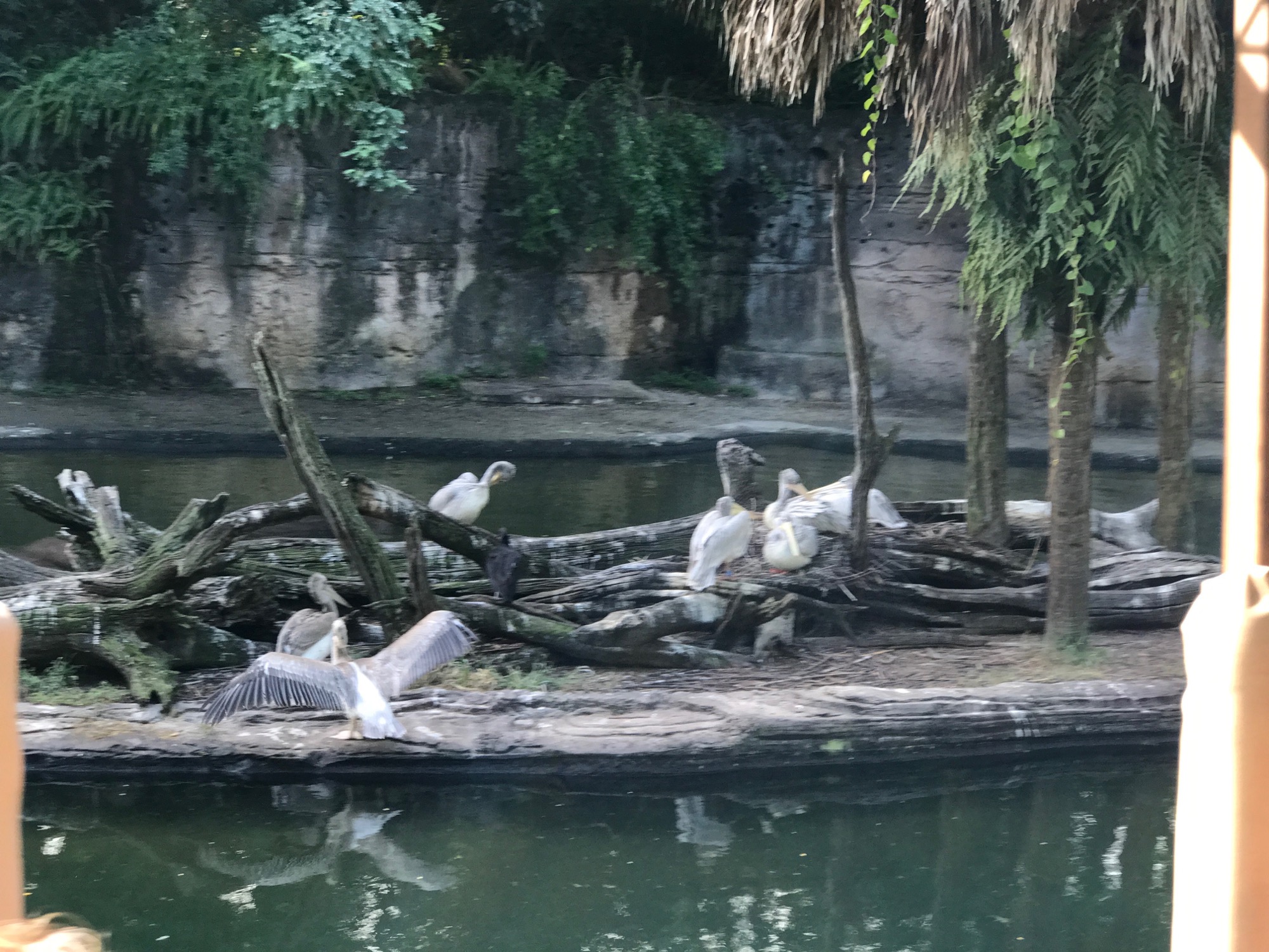 disney-trip-2016-88 photo