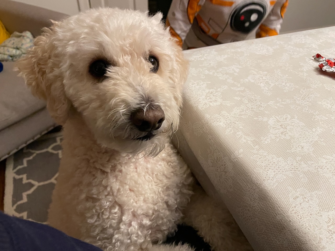 2020-12-20-gingerbread-03 photo