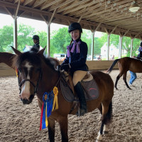 Meg's Horse Show Competition